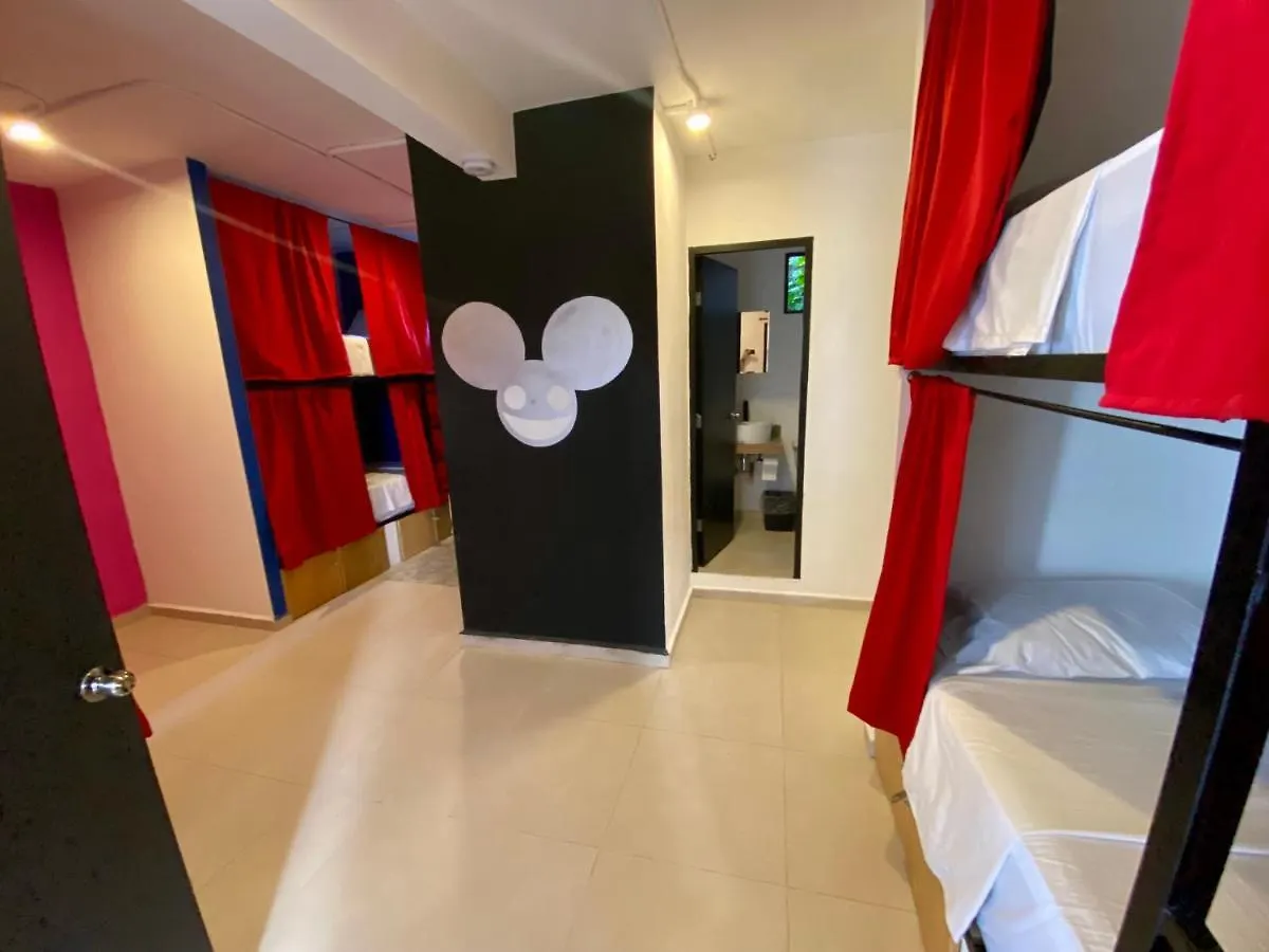 Why Not Rooftop Party Hostel Playa del Carmen