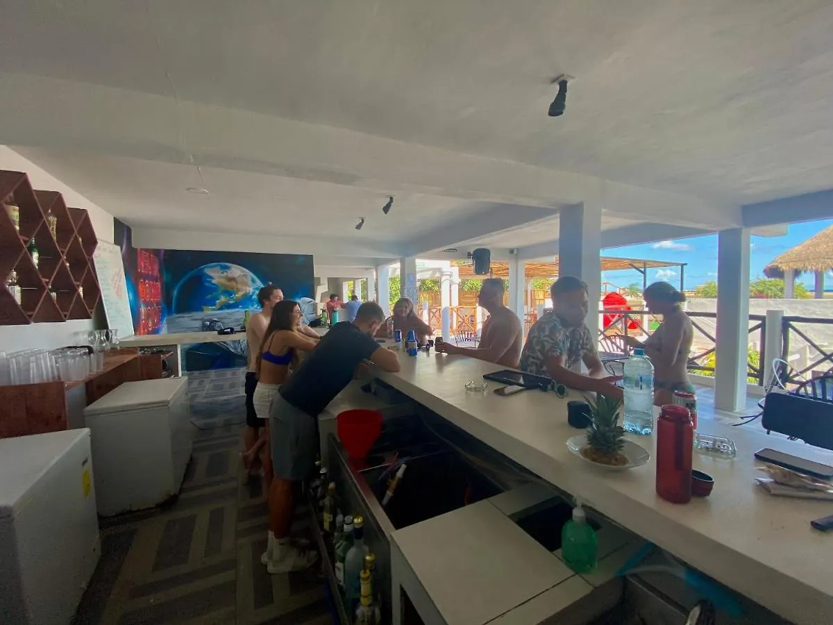 Why Not Rooftop Party Hostel Playa del Carmen