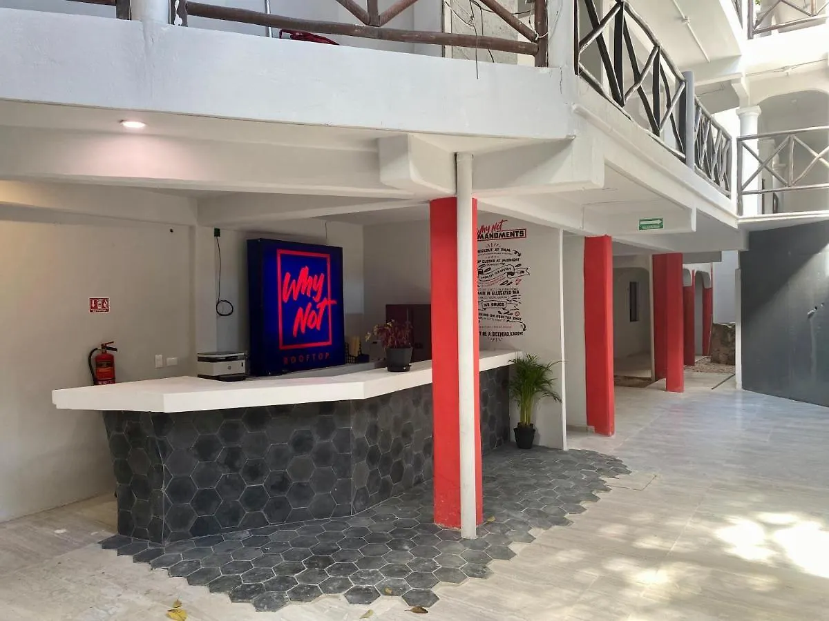 Why Not Rooftop Party Hostel Playa del Carmen