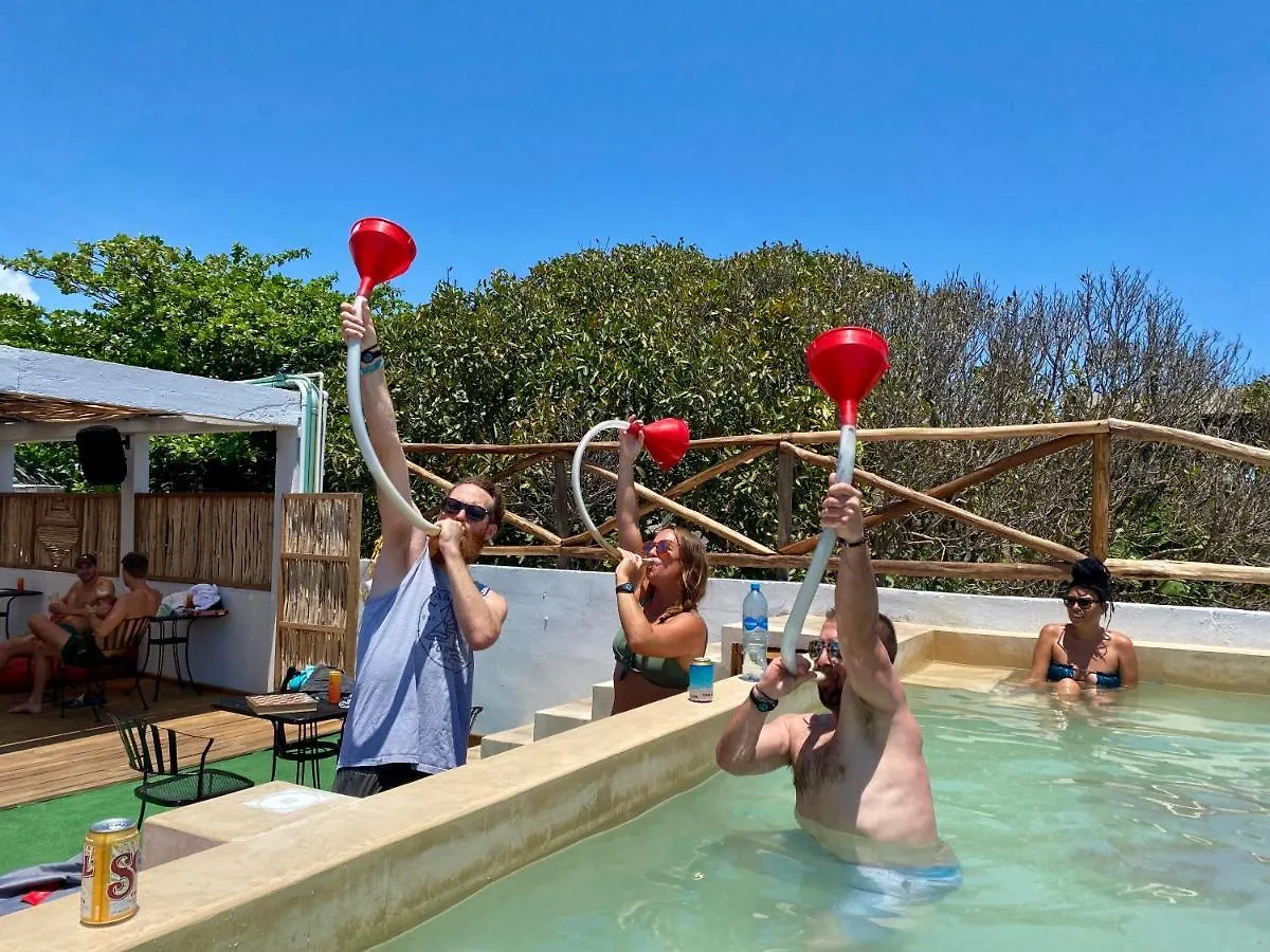 Why Not Rooftop Party Hostel Playa del Carmen Mexico
